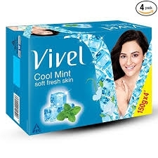 Vivel Cool Mint Soft Fresh Skin - 600g