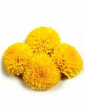 Marigold Flower Yellow - 250g