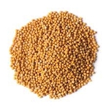 Mustard/Sorsha Yellow  - 50g, Premium
