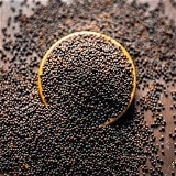 Mustard/Sorsha Big (Black) - 50g, Popular