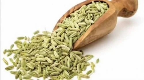 Mouri/Fennel Seeds -Big - 100g, Premium