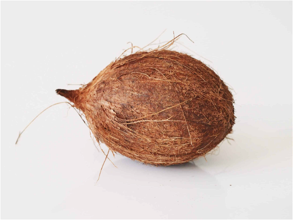Kerala Coconut (തേങ്ങ) - 1kg
