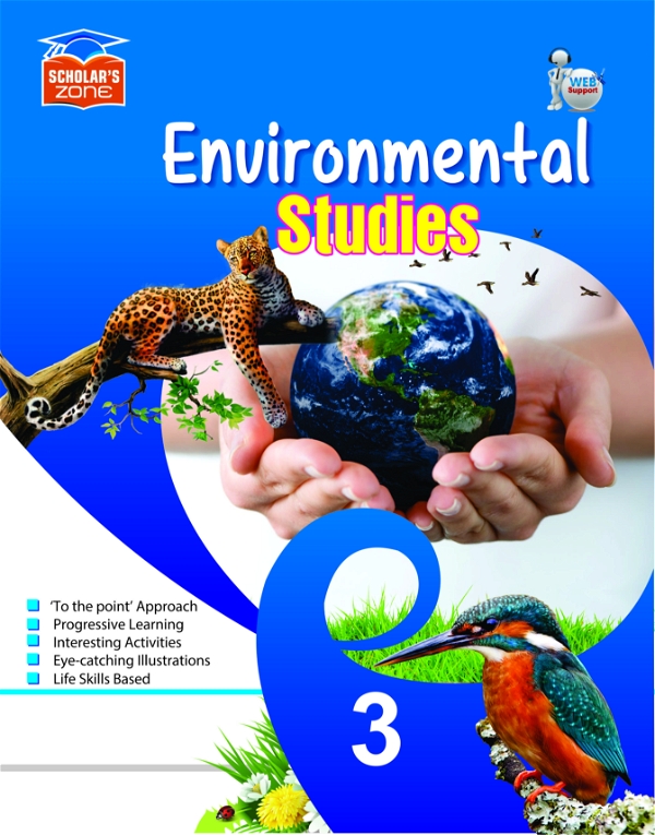 SZ Environment Studies-3